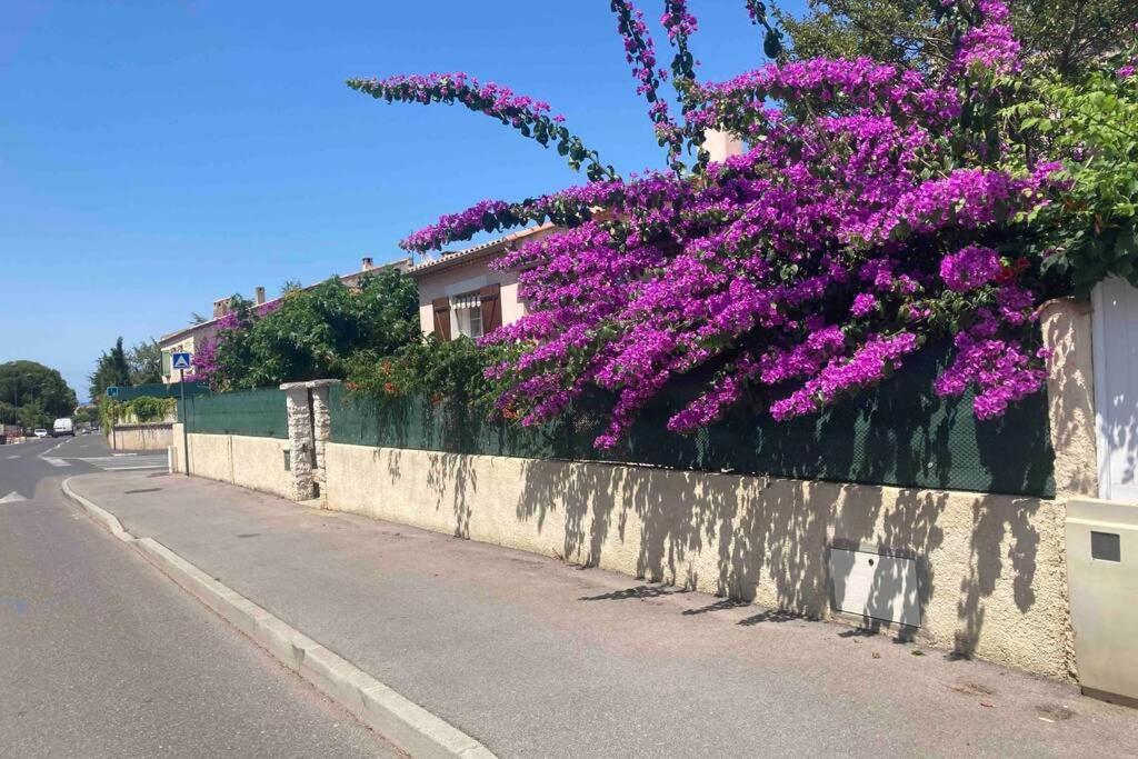 Magnifique Villa Avec Piscine Villeneuve-lès-Maguelonne Exterior photo